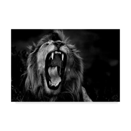 Giuseppe Damico 'Big Yawn' Canvas Art,22x32